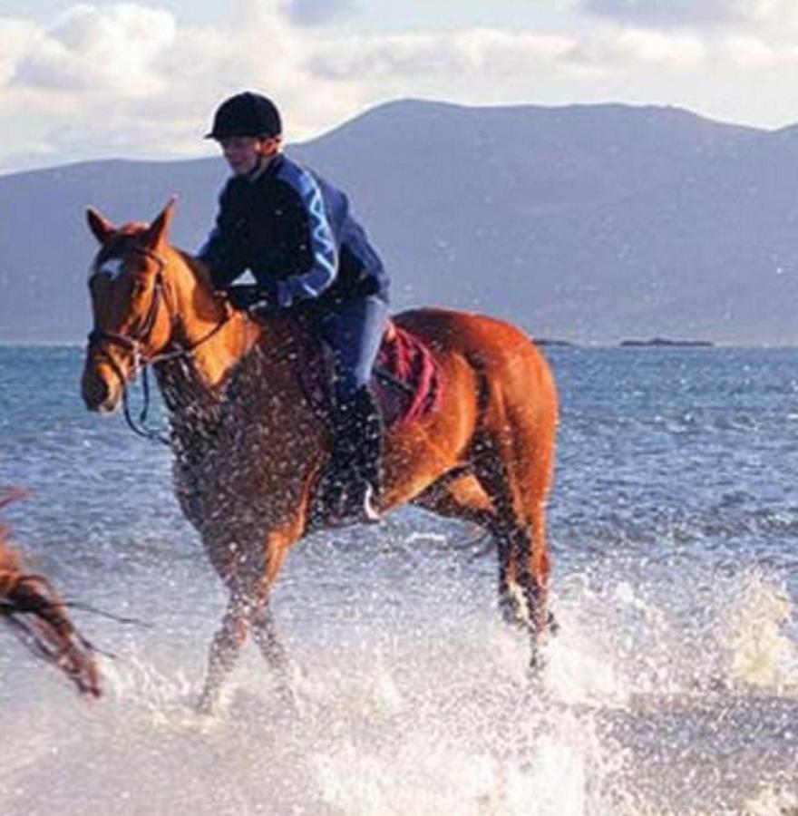 Mulranny Park Hotel Dış mekan fotoğraf